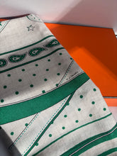 Load image into Gallery viewer, HERMES GREEN LA PROMENADE DU MATIN CASHMERE SILK SHAWL NEW WITH TAGS